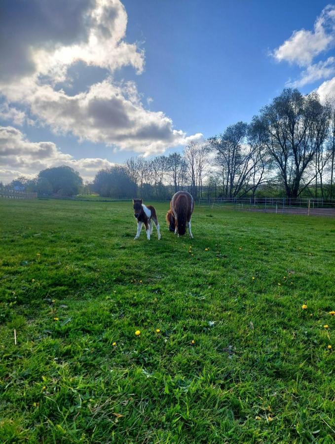 Ferienwohnung Ferien In Ostseenaehe Gelbensande Exterior foto